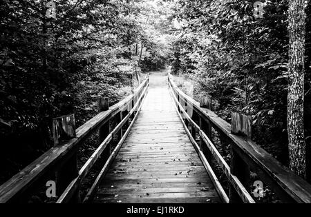 Pont sur la marche en sentier Limberlost Shenandoah National Park, en Virginie. Banque D'Images