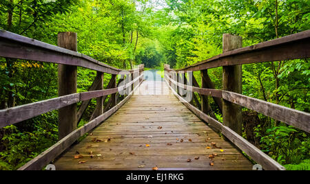 Pont sur la marche en sentier Limberlost Shenandoah National Park, en Virginie. Banque D'Images