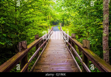 Pont sur la marche en sentier Limberlost Shenandoah National Park, en Virginie. Banque D'Images