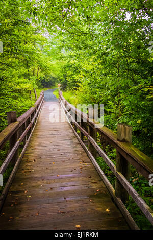 Pont sur la marche en sentier Limberlost Shenandoah National Park, en Virginie. Banque D'Images