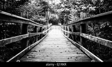 Pont sur la marche en sentier Limberlost Shenandoah National Park, en Virginie. Banque D'Images