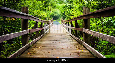 Pont sur la marche en sentier Limberlost Shenandoah National Park, en Virginie. Banque D'Images