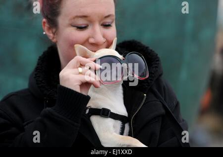 Brighton Sussex UK 20 mars 2015 - Les gens et leurs animaux de compagnie sur la plage de Brighton ce matin pour voir l'éclipse solaire partielle du soleil qui se déroule tout au long de la Grande-Bretagne . Malheureusement, les conditions météorologiques étaient couvert et nuageux et quelques aperçus étaient possibles sur la côte sud Crédit : Simon Dack/Alamy Live News Banque D'Images