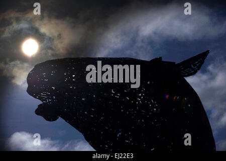 © PIC Jeune Sable 07970 268944 Rare éclipse solaire partielle est appréciée sur les Kelpies, www.scottishphotographer.com sandyyoungphotography.wordpress.com sj.young@virgin.net Ecosse Falkirk 07970 268 944 Banque D'Images