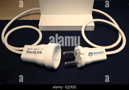 ILLUSTRATION - Une fiche d'alimentation est symbolique sur l'affichage lors de la signature du contrat le groupe allemand-norvégien pour la ligne d'alimentation 'Nordlink" au cours d'une réception à la coopération trilatérale séminaire 'l'éolien offshore aux Pays-Bas, en Allemagne et au Danemark, une contribution à la transition énergétique européenne' de la chambre de commerce de Hambourg, Allemagne, 19 mars 2015. 'Nordlink' est une ligne électrique qui s'étend sur plus de 623 kilomètres de distance entre le Tonstadt Wilster en Norvège et en Allemagne, la connexion de ces deux marchés pour alimentation en Allemagne et en Norvège. Photo : Christian Charisius/dpa Banque D'Images
