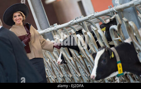 Hambourg, Allemagne. Mar 20, 2015. Reine Maxima des Pays-Bas visite Wulmenau, Allemagne, 19 mars 2015. Le couple royal est sur une visite de travail de deux jours au nord de l'Allemagne. Photo : Daniel Reinhardt/dpa/Alamy Live News Banque D'Images