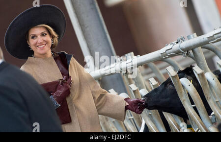 Hambourg, Allemagne. Mar 20, 2015. Reine Maxima des Pays-Bas visite Wulmenau, Allemagne, 19 mars 2015. Le couple royal est sur une visite de travail de deux jours au nord de l'Allemagne. Photo : Daniel Reinhardt/dpa/Alamy Live News Banque D'Images