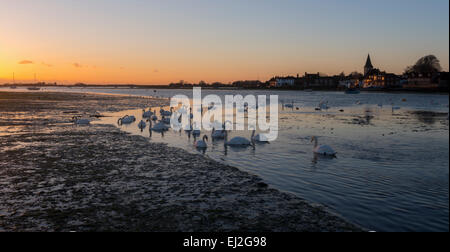 Une vue de Bosham Harbour dans le West Sussex. Banque D'Images