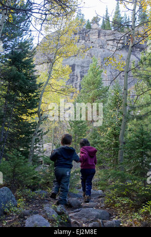 Un jeune garçon et fille de la randonnée à travers les arbres de pins et de trembles dans le Parc National des Montagnes Rocheuses. Banque D'Images