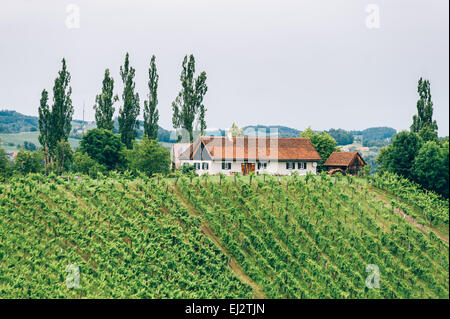 Winery dans le sud de la Styrie Banque D'Images