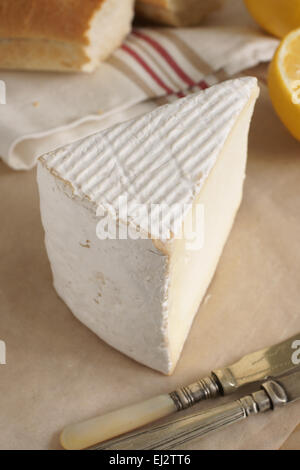 Vignotte une forte teneur en gras français style Brie crème fromage fabriqué dans la région Champagne-Ardenne de Normandie Banque D'Images