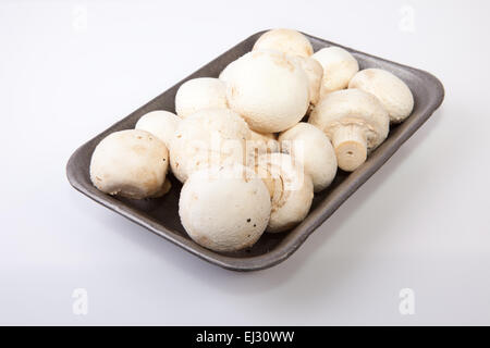 Champignons frais blanc en noir plateau en plastique isolé sur fond blanc Banque D'Images