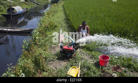 Dhaka, Bangladesh. Mar 20, 2015. Dhaka, Bangladesh, le 20 mars 2015 ; Farmer watering pitch black de l'eau dans leurs terres en provenance de Bali, qui sont polluées par les eaux usées, la saleté et les produits chimiques toxiques qui sont poluted. Un nouveau rapport DES NATIONS UNIES lancée à New Delhi le 20 mars à venir de la Journée mondiale de l'eau le 22 mars a mis en garde contre un besoin urgent de gérer l'eau de la planète plus durable et de mettre en lumière le problème de l'eau souterraine sur l'extraction, en particulier en Inde et en Chine. Le rapport affirme que la demande mondiale d'eau augmente de façon exponentielle, explique en grande partie par la croissance de la population. (Crédit Image : © Zakir Hossa Banque D'Images