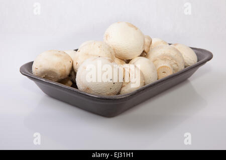 Champignons frais blanc en noir plateau en plastique isolé sur fond blanc Banque D'Images