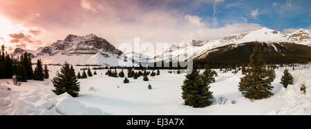 En hiver le lac Bow, Banff National Park Alberta Canada Banque D'Images