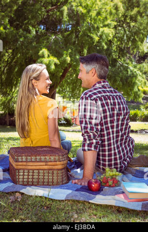 Couple having pique-nique dans le parc Banque D'Images