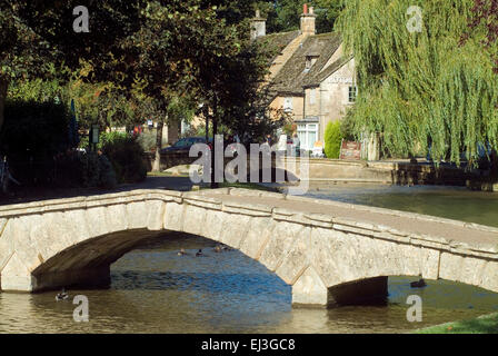 Vieux pont de pierre sur la rivière Windrush en Bourton on the water Cotswolds Gloucestershire Angleterre Angleterre Europe Banque D'Images