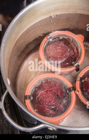 Weck bocaux de conserve de betteraves marinées en cours de traitement dans un bain d'eau bouillante pendant 35 minutes. Banque D'Images