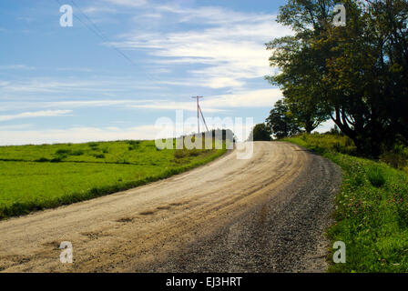 Route de terre en campagne entre prairie et forêt contre le ciel bleu. Banque D'Images