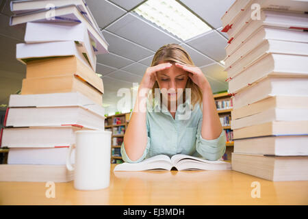 Pretty student studying in the library Banque D'Images