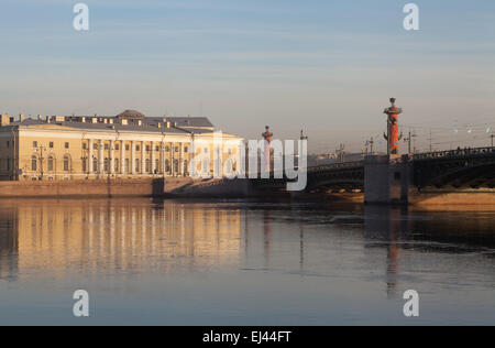 Le Musée Zoologique de l'Institut zoologique de l'Académie des Sciences de Russie, Saint-Pétersbourg, Russie. Banque D'Images