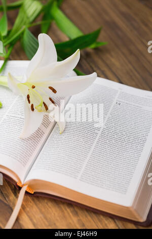 Fleur de Lys reposant sur bible ouverte Banque D'Images