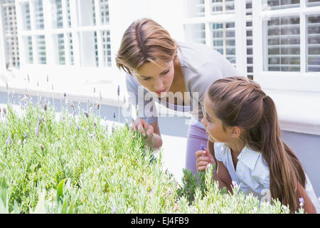 Mère et fille tendant à fleurs Banque D'Images