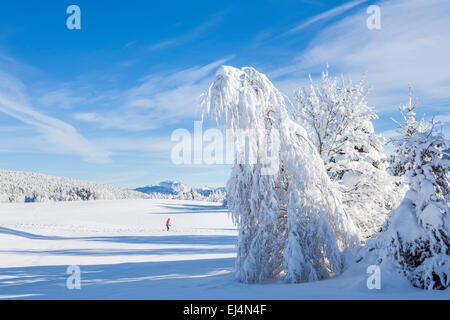 Station de ski à La Féclaz, Savoie, Rhône-Alpes, France Banque D'Images