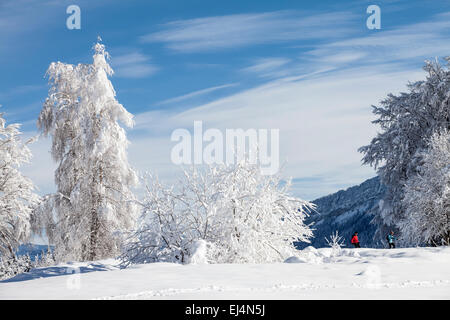 Station de ski à La Féclaz, Savoie, Rhône-Alpes, France Banque D'Images