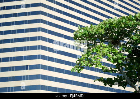 Le Hyatt Regency Hotel, Deira, Dubaï, Émirats Arabes Unis Banque D'Images