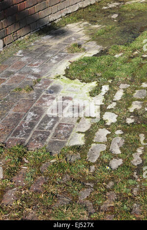 Les résidus d'eau qui coule de la source de sels d'Epsom au premier Spa bien d'Epsom, Bien Moyen, Epsom, Surrey, Angleterre, Royaume-Uni. Banque D'Images