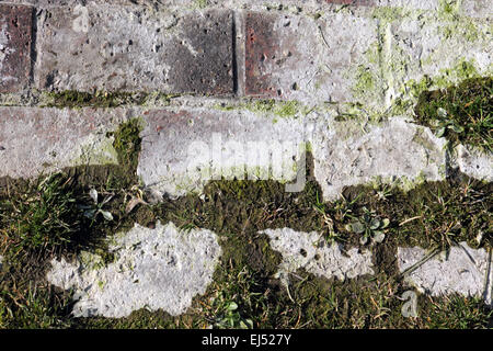 Les résidus d'eau qui coule de la source de sels d'Epsom au premier Spa bien d'Epsom, Bien Moyen, Epsom, Surrey, Angleterre, Royaume-Uni. Banque D'Images