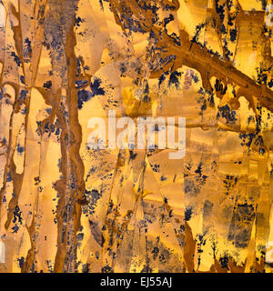 Milieux et de textures : en surface, de belles pierres décoratives jaune-orange, abstract pattern de fissures, taches et sta Banque D'Images