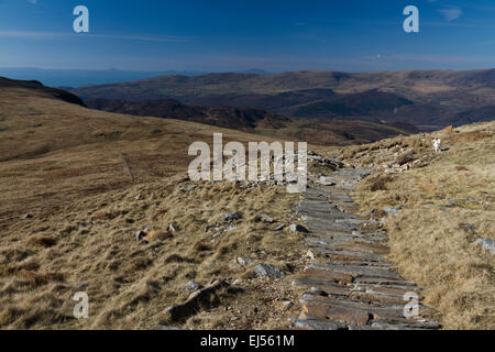 Vue sur le chemin jusqu'à la voie de poney dans le sud de l'Idris Cadair sur Snowdonia, le nord du Pays de Galles Banque D'Images