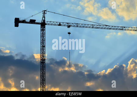 Silhouette de grue et les rayons du soleil Banque D'Images