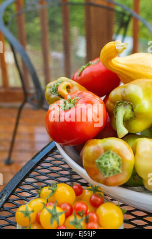 Bol de produits frais, y compris les tomates rouges, poivrons doux hybride tsigane, et l'été courge Yellow-Crookneck Banque D'Images