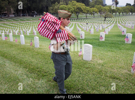 Boyscout plaçant 85, 000 drapeaux américains au Jour commémoratif de l'événement annuel, le Cimetière National de Los Angeles, Californie, États-Unis Banque D'Images