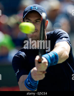 (150322) --INDIAN WELLS, mars. 22, 2015 (Xinhua) -- Andy Murray d'Angleterre renvoie la balle au cours de la demi-finale hommes contre Novak Djokovic de Serbie sur le BNP Paribas Open de tennis à l'Indian Wells Tennis Garden à Indian Wells, en Californie, aux États-Unis le 21 mars 2015. Murray a perdu 0-2. (Xinhua/Yang Lei) Banque D'Images