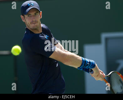 (150322) --INDIAN WELLS, mars. 22, 2015 (Xinhua) -- Andy Murray d'Angleterre renvoie la balle au cours de la demi-finale hommes contre Novak Djokovic de Serbie sur le BNP Paribas Open de tennis à l'Indian Wells Tennis Garden à Indian Wells, en Californie, aux États-Unis le 21 mars 2015. Murray a perdu 0-2. (Xinhua/Yang Lei) Banque D'Images