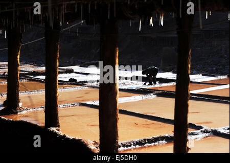 Markam, la Région autonome du Tibet. Mar 21, 2015. Un villageois fonctionne sur les salines de Markam, comté du sud-ouest de la Chine, région autonome du Tibet, le 21 mars 2015. Markam county, avec de riches ressources de sel, a plus de 3 000 salines pour évaporer l'eau salée, au soleil, avec une technique ancestrale depuis la dynastie Tang (618-907MA), qui est aussi la plus ancienne méthode de production de sel. Cette méthode d'évaporation de sel a été répertorié comme l'un des Patrimoine culturel immatériel national en 2009. © Wen Tao/Xinhua/Alamy Live News Banque D'Images