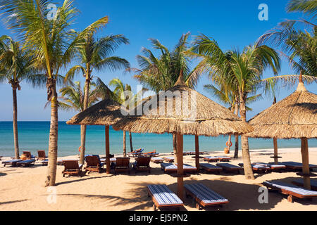 Des chaises longues et des parasols en chaume croissante parmi les paumes sur sable à Vinpearl Resort. L'île de Phu Quoc, Province de Kien Giang, Vietnam. Banque D'Images