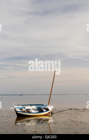 Voilier avec des réflexions sur la magnifique plage à marée basse. Cape Cod, Massachusetts. Provincetown Banque D'Images