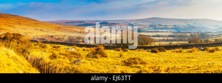 Paysage de lande sauvage près de Tavy Cleave dans Dartmoor National Park, Devon, Angleterre Royaume-uni Banque D'Images