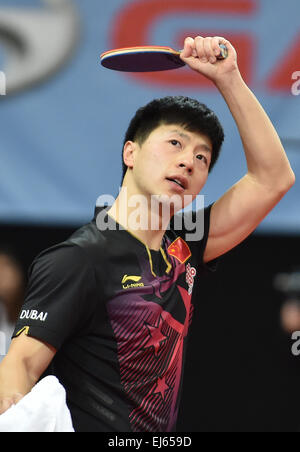 Brême, Allemagne. Mar 22, 2015. Ma longue de Chine célèbre après le match de finale contre Jike Zhang de Chine à la German Open tennis de table la concurrence dans l'arène de l'OVB à Brême, Allemagne, 22 mars 2015. C'est la deuxième fois mal a gagné le German Open de tennis de table depuis 2010. Photo : CARMEN JASPERSEN/dpa/Alamy Live News Banque D'Images