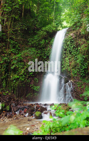 Petite cascade dans la jungle près de Lac Maninjau depuis dans l'Ouest de Sumatra, Indonésie Banque D'Images