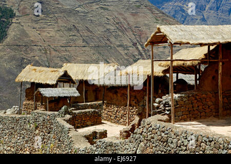 Toit de chaume couvert de bâtiments, les ruines Inca de Pisac, Pisac, Cusco, Pérou Banque D'Images