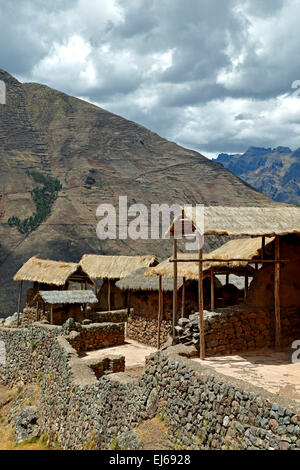 Toit de chaume couvert de bâtiments, les ruines Inca de Pisac, Pisac, Cusco, Pérou Banque D'Images