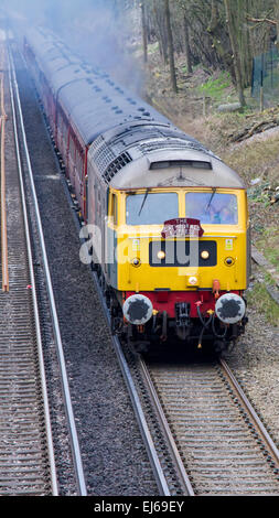 Les Cathédrales Express tirée par un British Rail Class diesel 47 en passant par la campagne du Surrey Banque D'Images