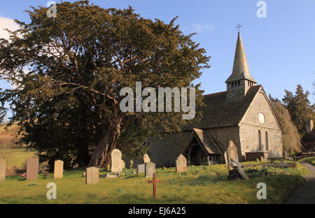Discoed Powys St Michael's Church et un ancien arbre d'if pensé pour être aussi vieux que 5 000 ans Banque D'Images