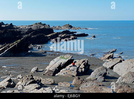 Femme assise sur des rochers, Ilfracombe, Devon, Angleterre, Royaume-Uni Banque D'Images